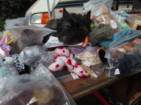 Picture of a dog on a toy stall with sign saying he's not for sale
