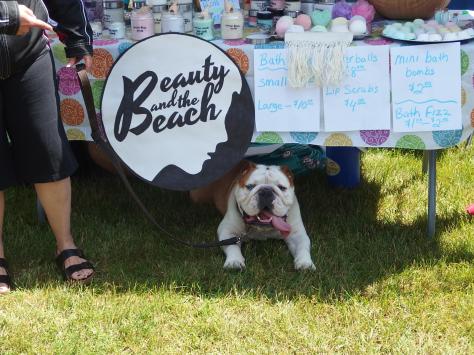 A dog shelters under a table at the Beauty and the Beach stand at the Butter Tart festival in Midland, Ontario
